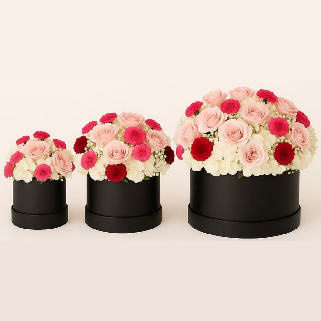 Rosy Hydrangea Dream