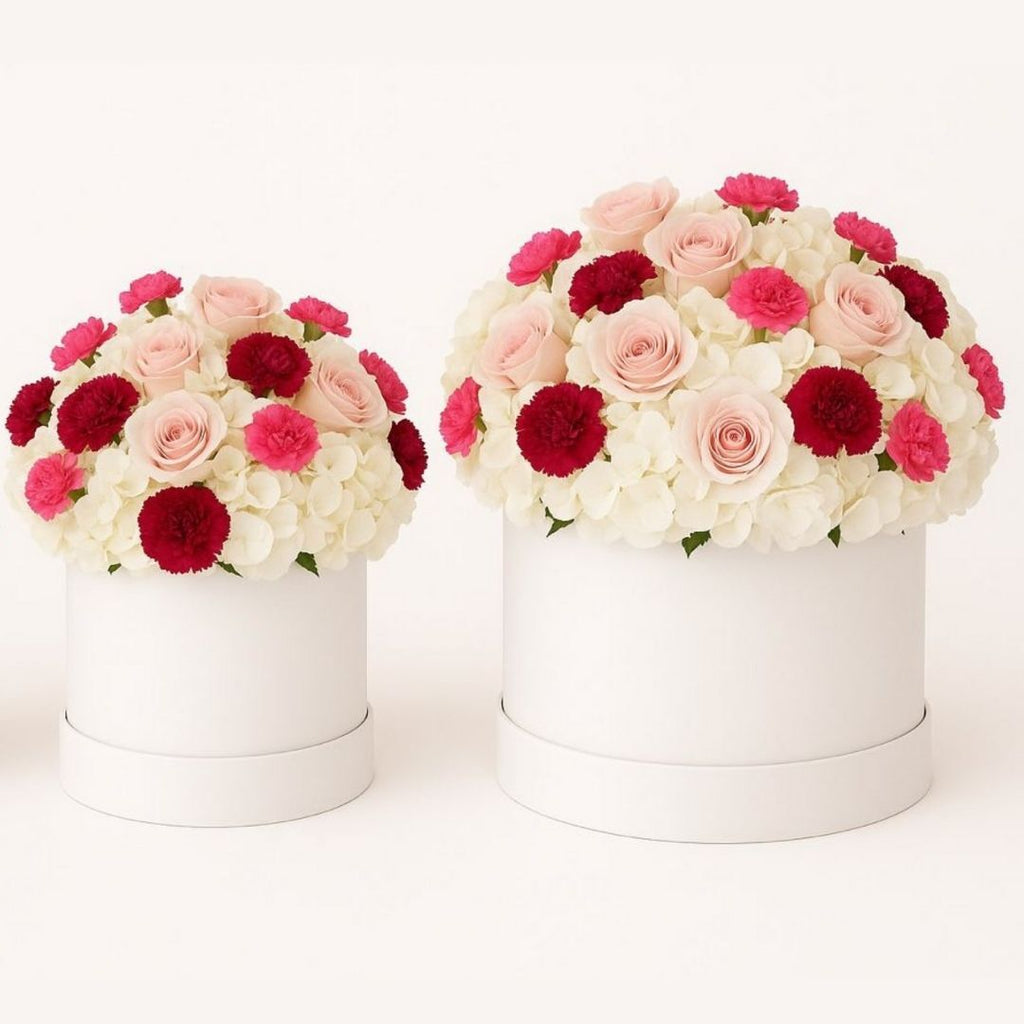 Rosy Hydrangea Dream