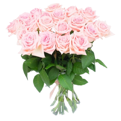 Bouquet «Moonlit Memories», 19 roses