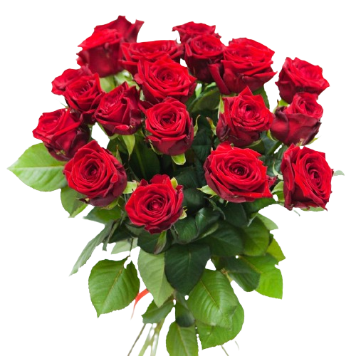 Bouquet «Ruby Romance», 17 roses