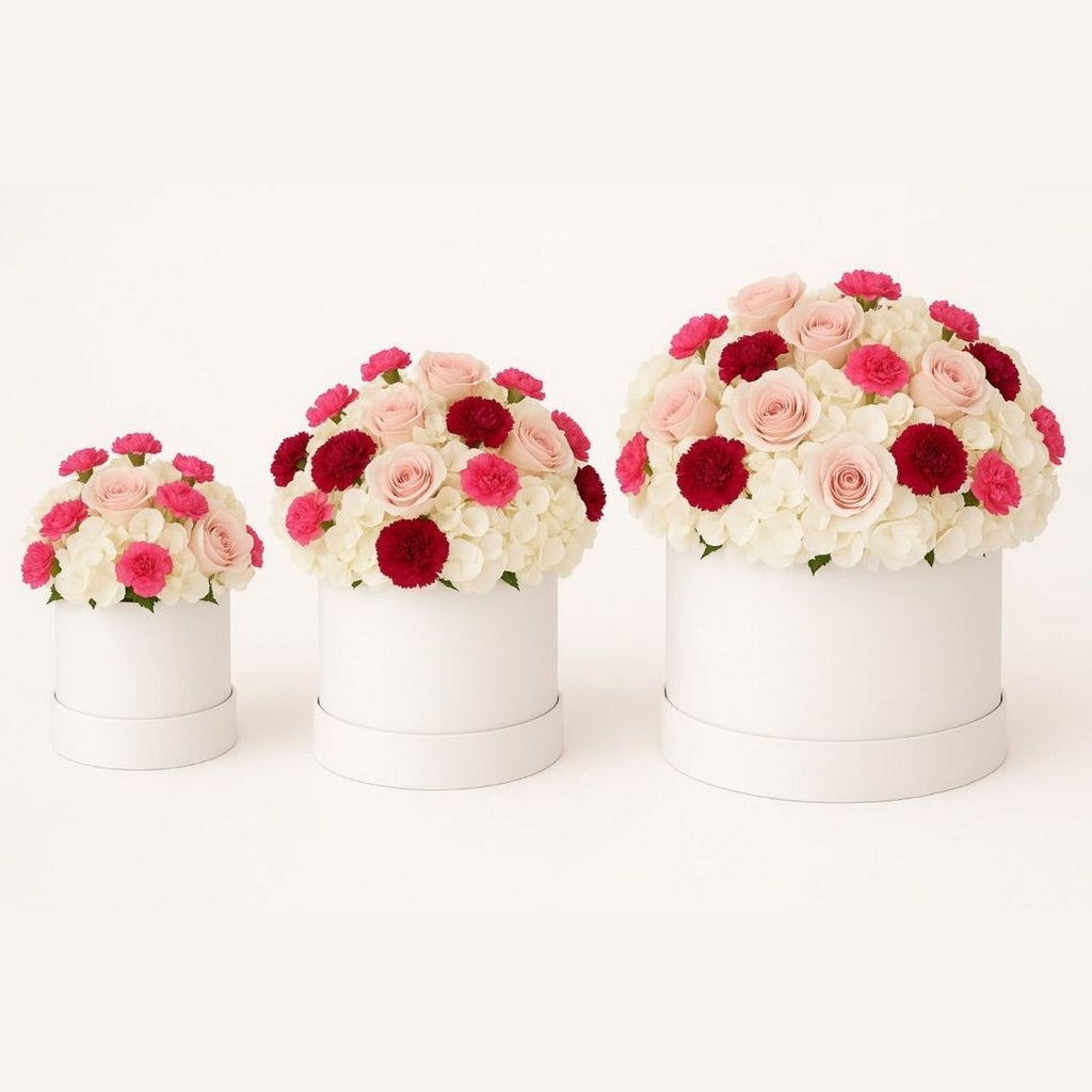 Rosy Hydrangea Dream