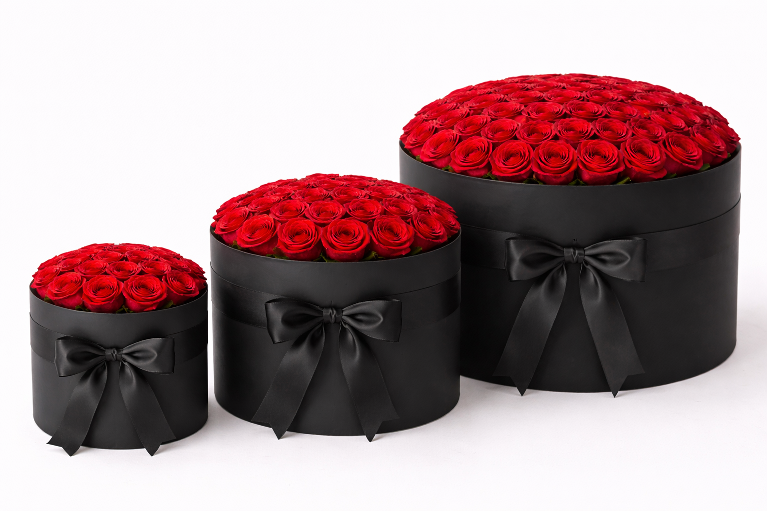 Timeless 51-Rose Box