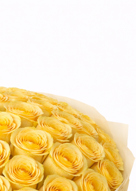 Bouquet «Perfect Harmony», 51 roses