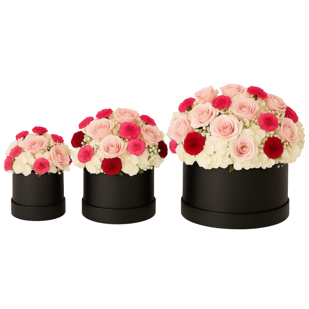 Rosy Hydrangea Dream