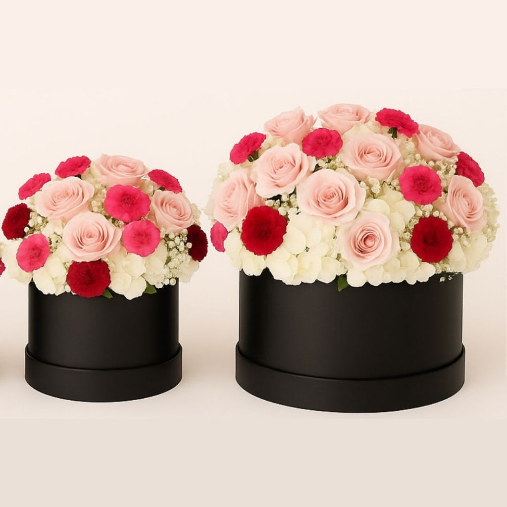 Rosy Hydrangea Dream