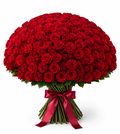 PROMO • GONE SOON «The Florist’s Edit», 100 roses