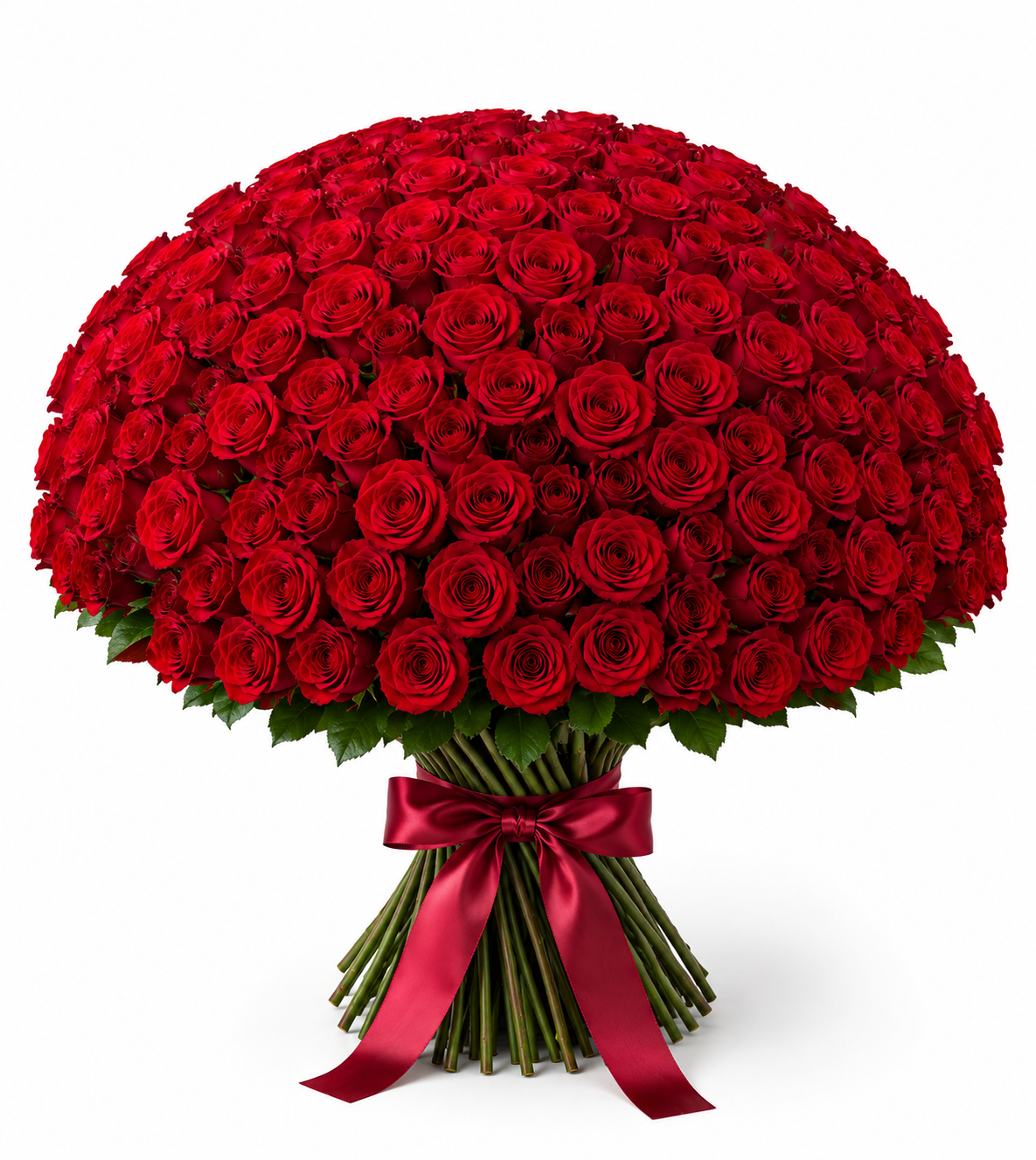 PROMO • GONE SOON «The Florist’s Edit», 100 roses